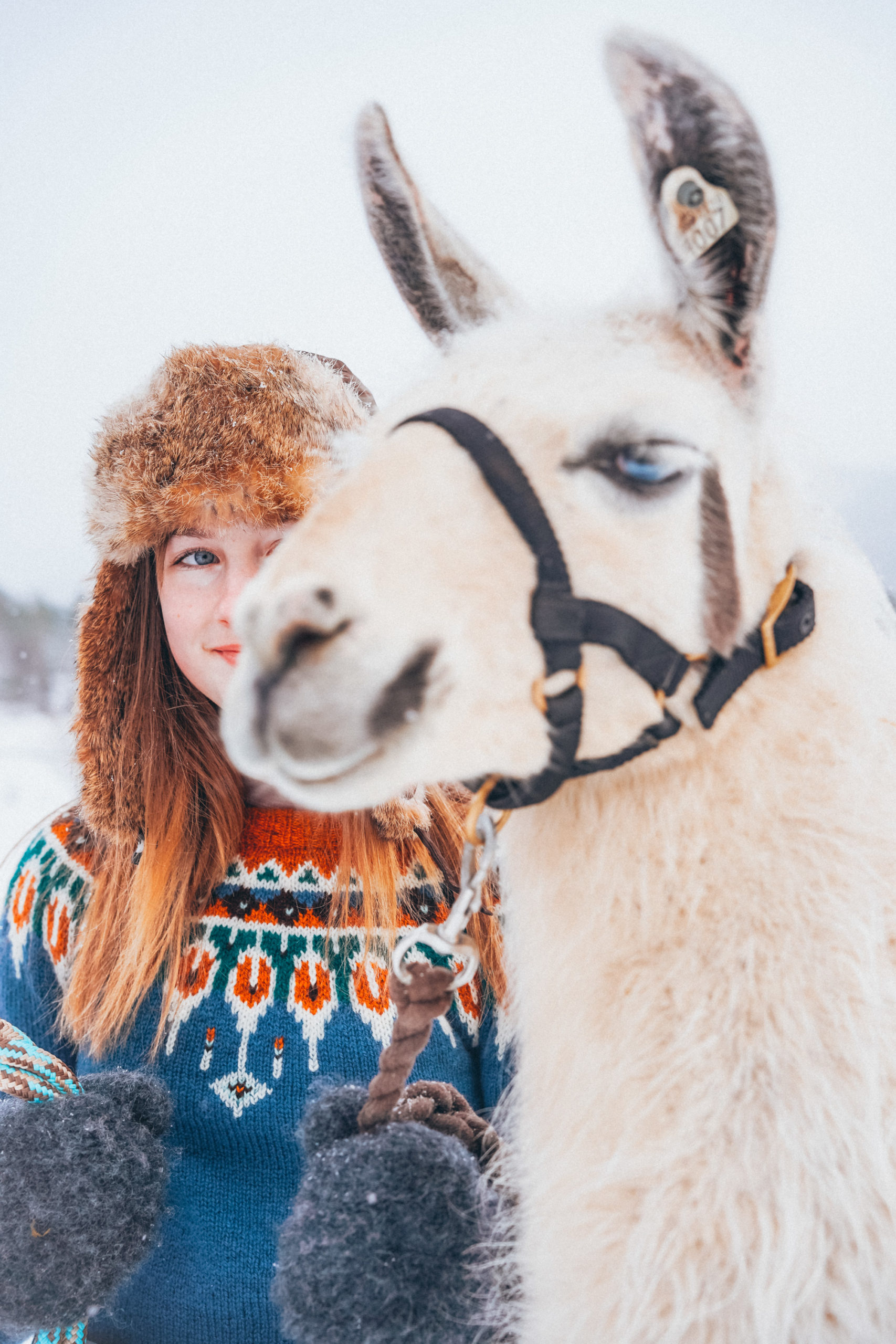 Villmarksgensere til barn - Bilde 14