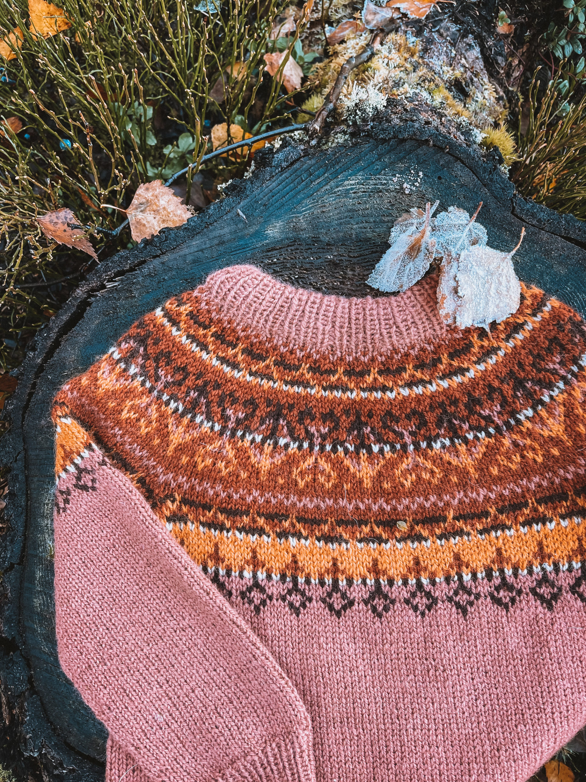 Alasuq barn, varm rosa (Sol)