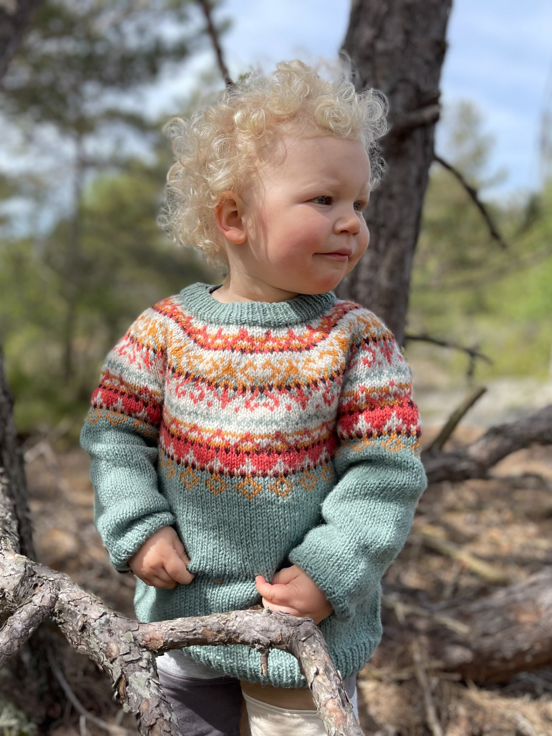 Alasuq barn, støvet grønn (Sol/Tinde)