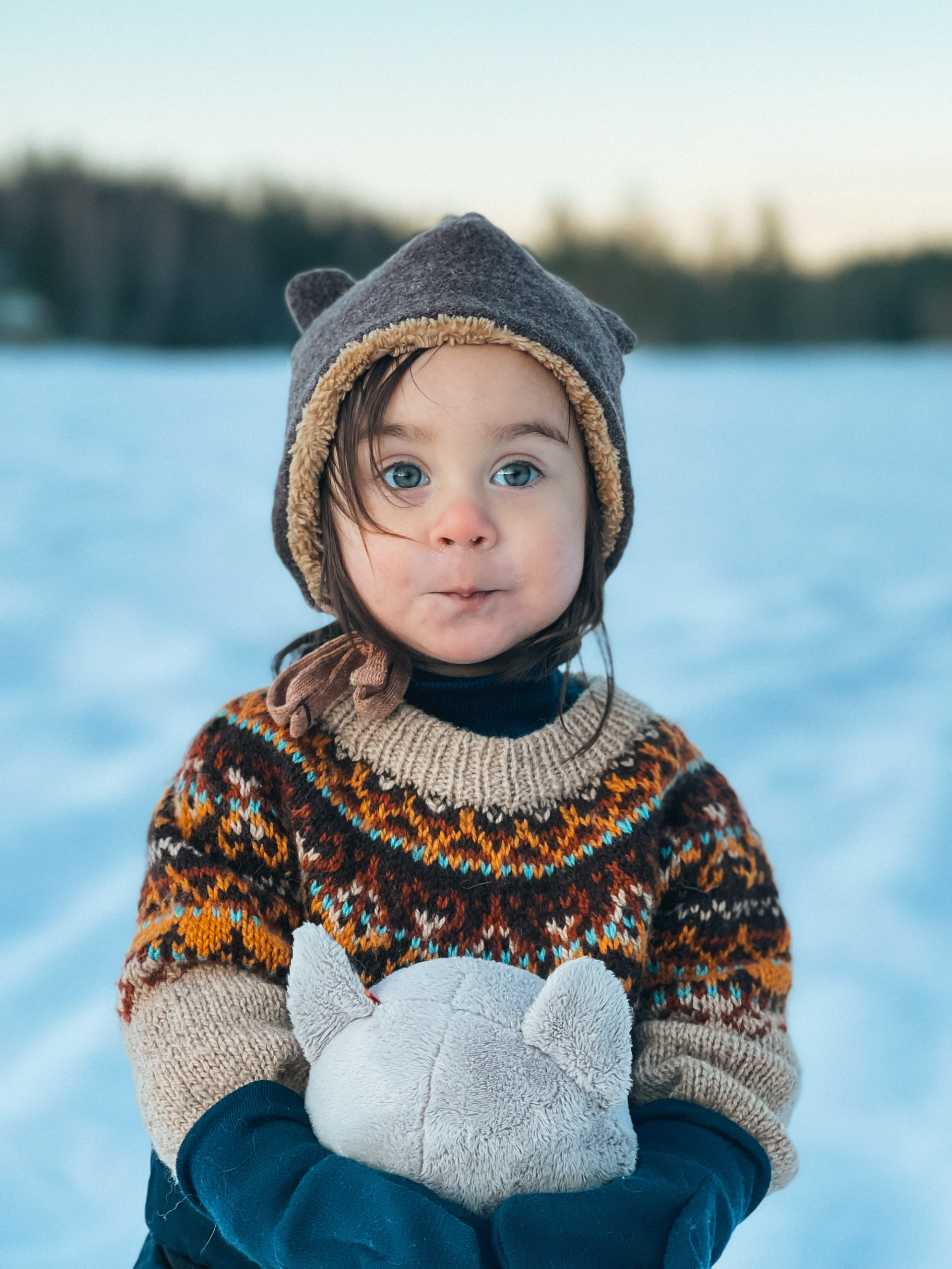 Alasuq barn, kamel (Sol)