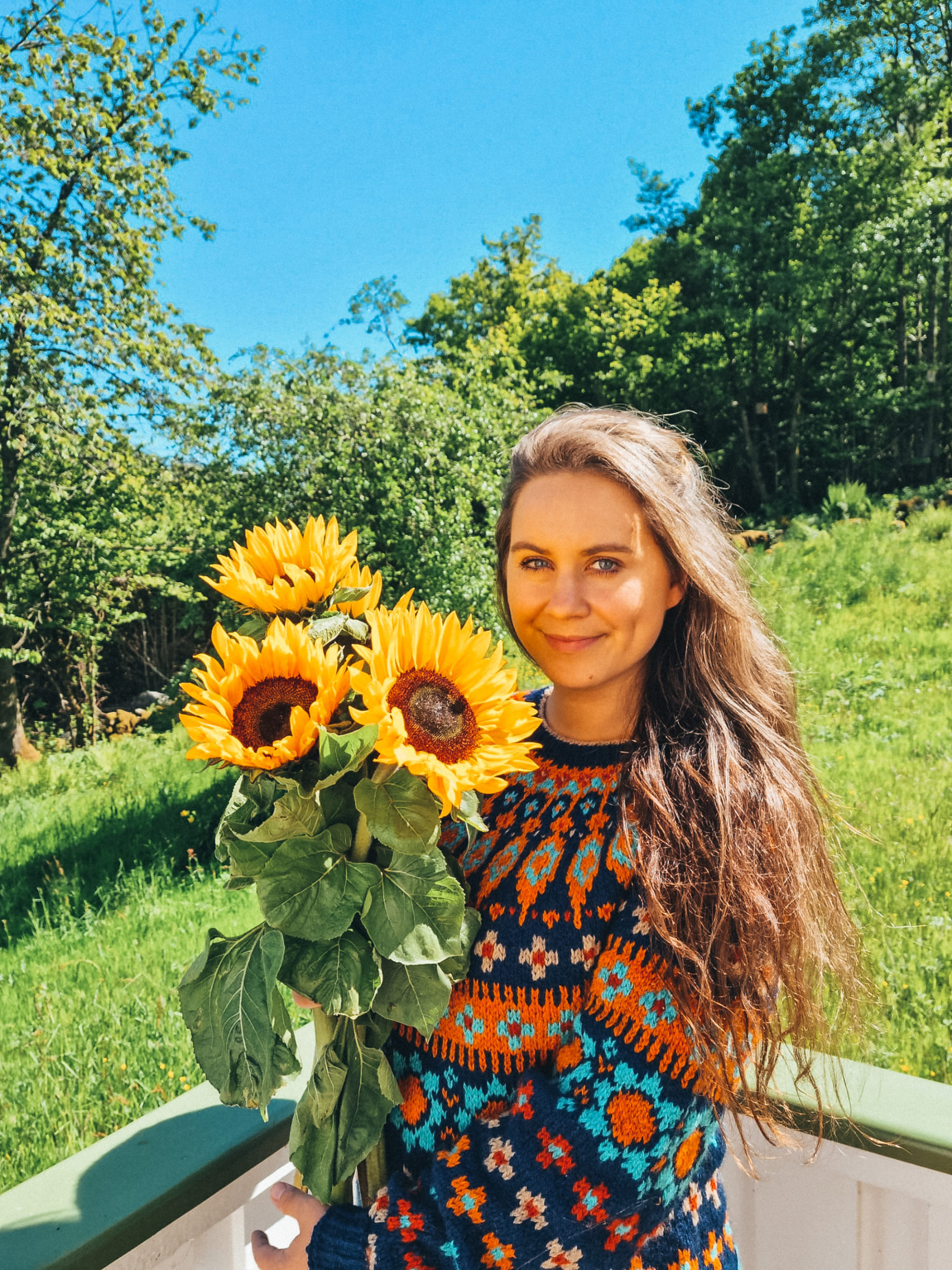 Katmandu - Villmarksgensere 3 - Bilde 2