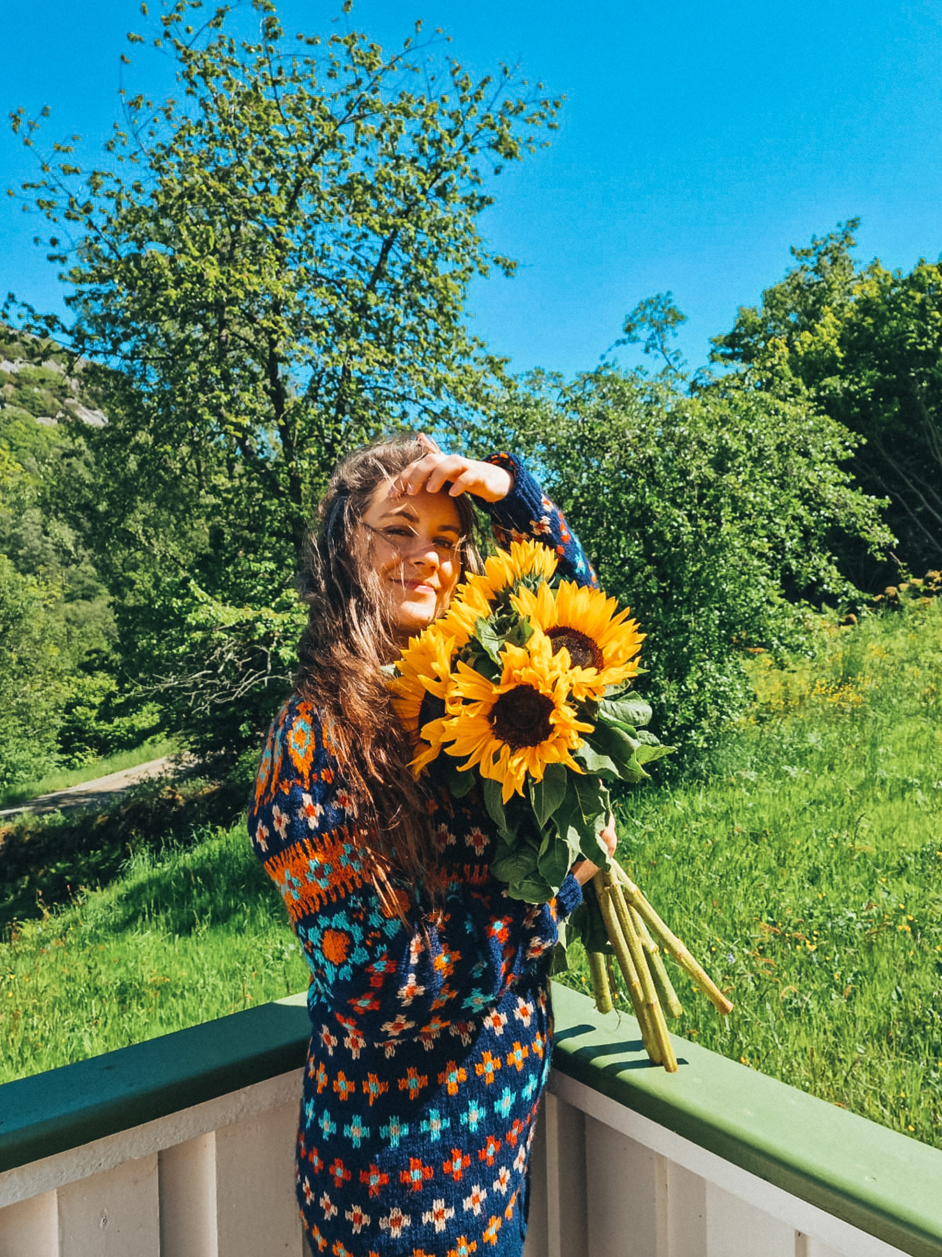 Katmandu - Villmarksgensere 3 - Bilde 3